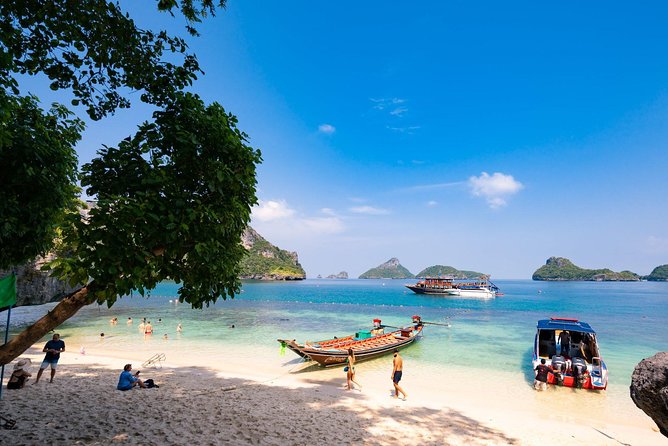 Unspoiled Island Escape: Private Speedboat Tour from Koh Samui - Service style and communication