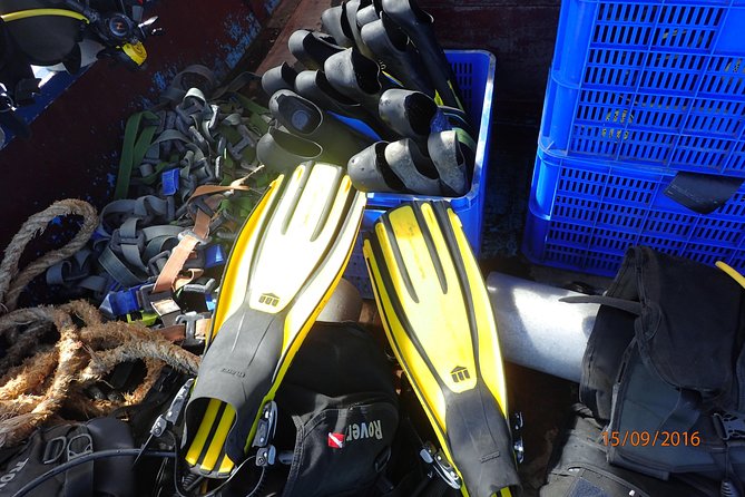 V.I.P Snorkeling & Fishing Tour ( Speed Boat ) Minimum 02 people - Hon Mun snorkeling: the strongest water stop