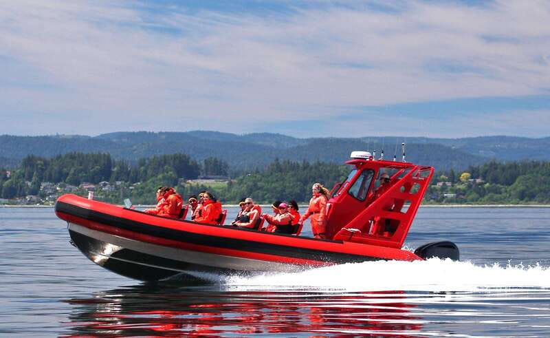 Vancouver, BC: Whale Watching Tour Small Zodiac with Guide - The zodiac ride across the Strait of Georgia