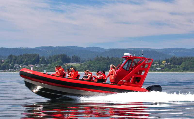 Vancouver, BC: Whale Watching Tour Small Zodiac with Guide - What the three to five hours feel like