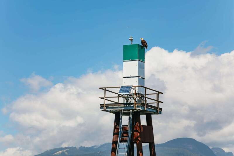 Vancouver: Indian Arm and Granite Falls Zodiac Boat Tour - Siwash Rock and the North Shore
