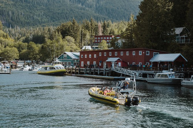 Vancouver Island Zodiac Whale Watching Adventure - Telegraph Cove - Quick take: the details that matter most