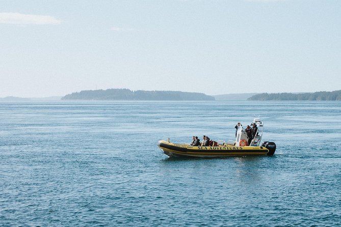Vancouver Island Zodiac Whale Watching Adventure - Telegraph Cove - Three hours on Johnstone Strait
