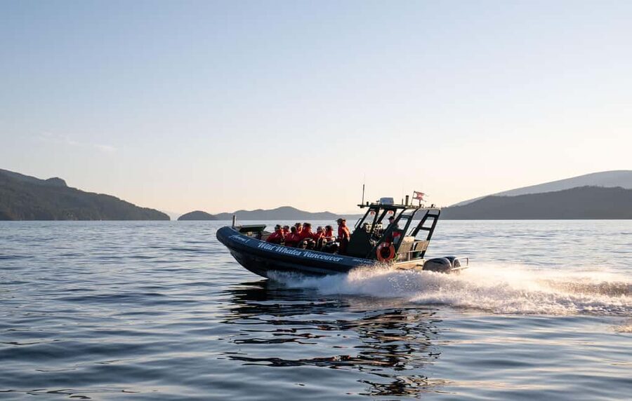 Vancouver: Zodiac Whale Watching Tour from Granville Island - Starting at Granville Island with 45 minutes to spare