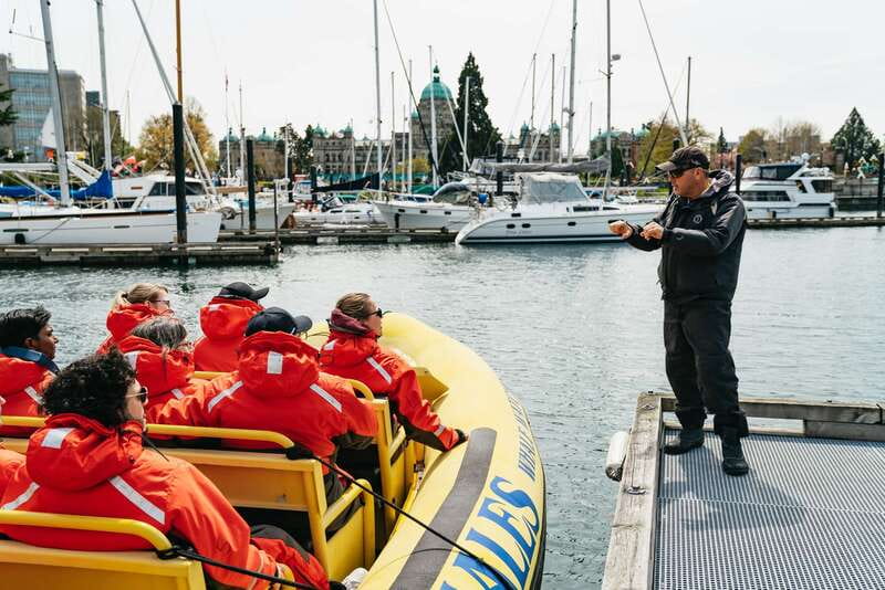 Victoria: Whale Watching Adventure in a Zodiac Boat - Key points to know before you go