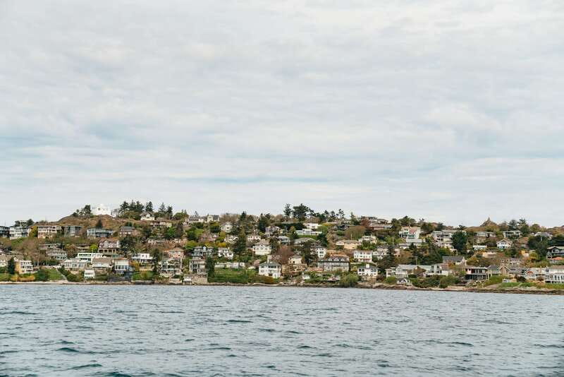Victoria: Whale Watching Adventure in a Zodiac Boat - The final call: should you book?