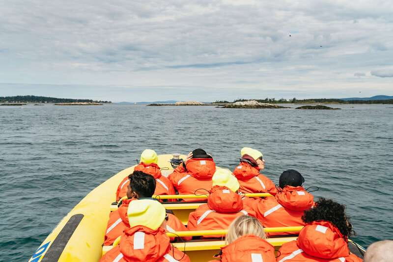 Victoria: Whale Watching Adventure in a Zodiac Boat - Starting beneath Victoria’s Inner Harbour