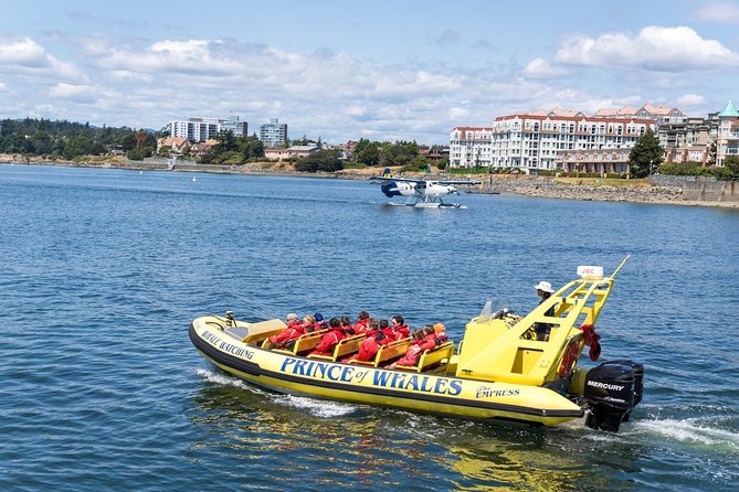 Victoria Zodiac Boat Whale Watching Adventure - Booking, cancellation, and timing advice