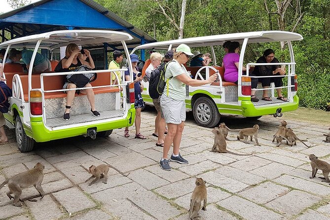 VIP Tour in Vam Sat: Can Gio Mangrove Forest by SpeedBoat - Wildlife Search: Crocodiles, Cobras, and Pelicans