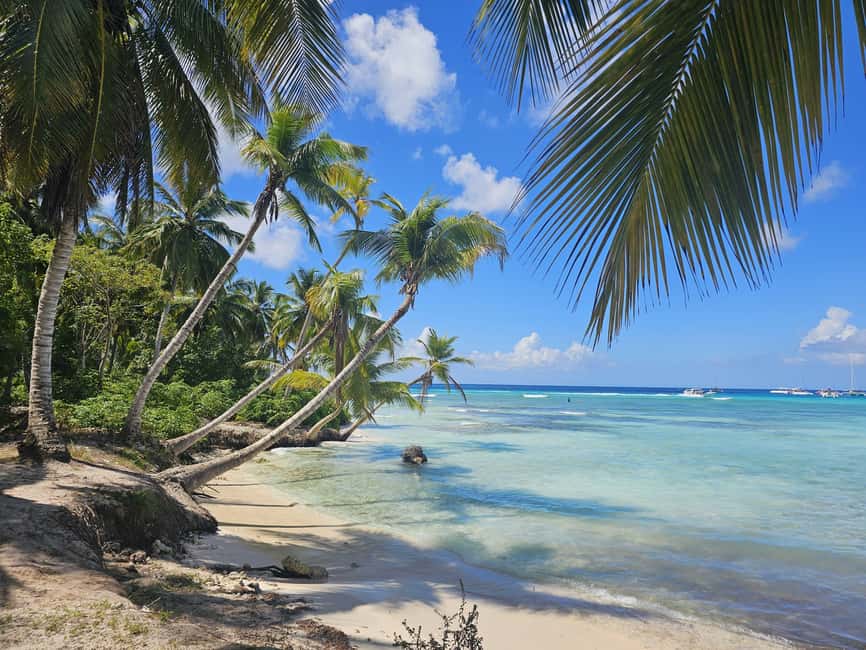 VIP tour to Saona Island by speedboat with a visit to paradise beaches - Why Saona Island makes such a good day trip