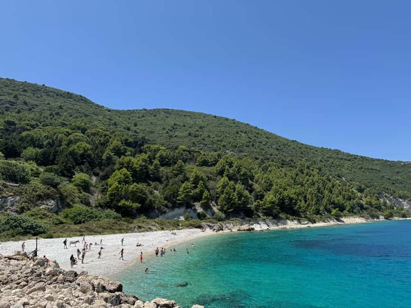 Vlore: Sazan Island, Haxhi Ali Cave & Karaburun by Speedboat - What this Vlorë speedboat day is really like