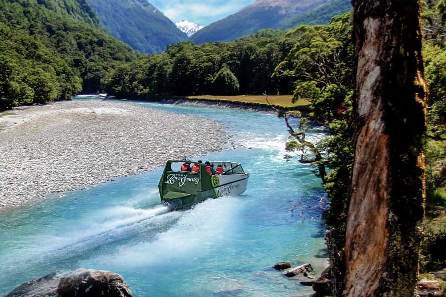 Wanaka: Jet Boat & Wilderness Walk - The 50-minute forest walk