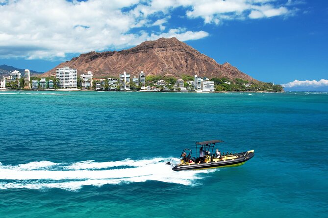 Whale Watching Adventure -Speed Boat & Small Group - Setting out from Kewalo Basin at 11:30 am