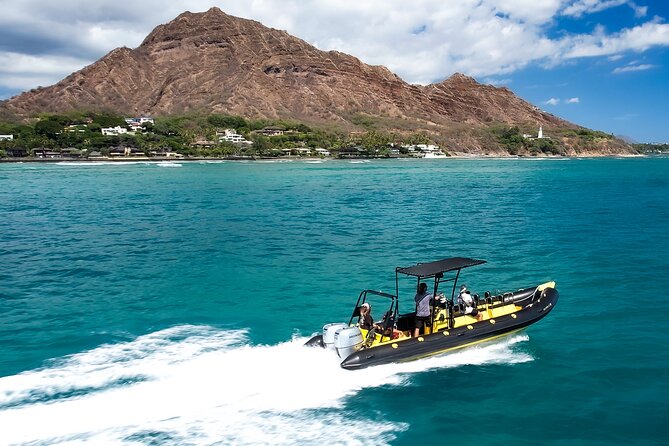 Whale Watching Adventure -Speed Boat & Small Group - Who will enjoy this boat most?