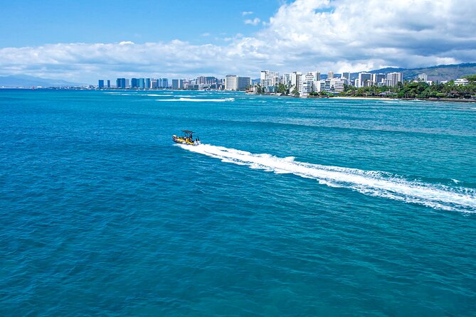 Whale Watching Adventure -Speed Boat & Small Group - Practical tips for a better outing