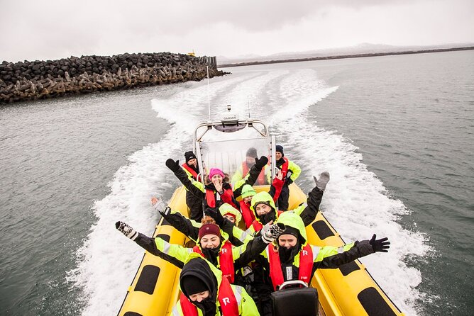 Whale Watching by RIB Speedboat from Downtown Reykjavik - Key things to know before booking