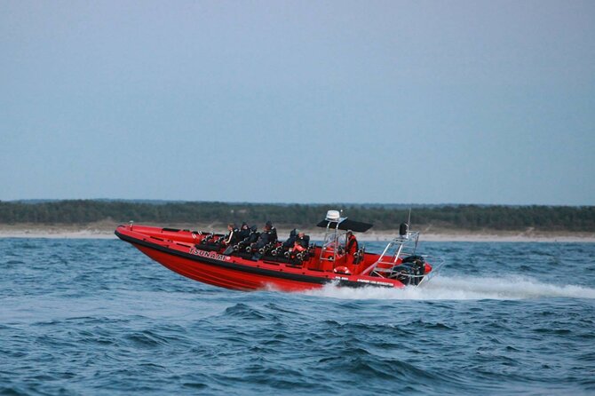 Whale Watching by RIB Speedboat from Downtown Reykjavik - Engey, Lundey, and Viðey on the route