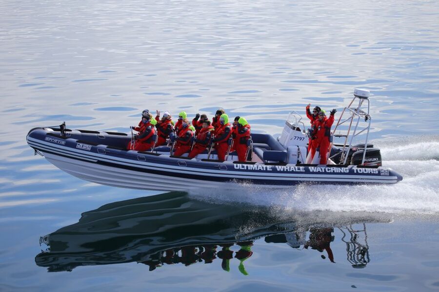 Whale Watching in Reykjavik by Speedboat - The RIB ride: exciting, fast, and not for everyone