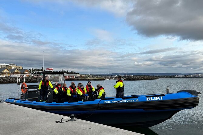 Whale Watching - RIB Boat Adventure in Kopavogur, Iceland - Why this trip feels different from a standard whale cruise