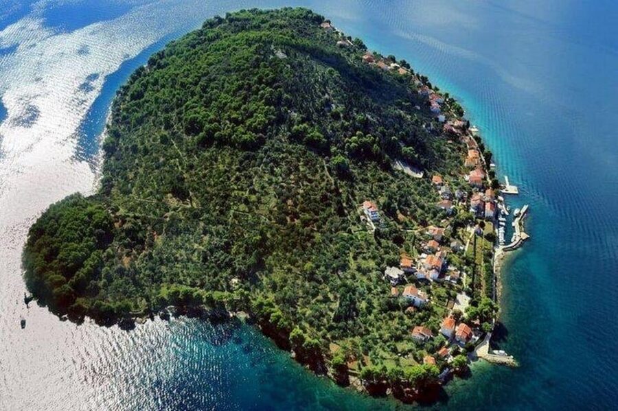 Zadar: 3 Island Speedboat Tour & Blue Bay Swim with Drinks - Should you book the Zadar island tour?