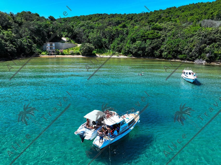 Zadar: 3 Island Speedboat Tour with Wine and Snorkeling - Meeting point tips that can save you trouble