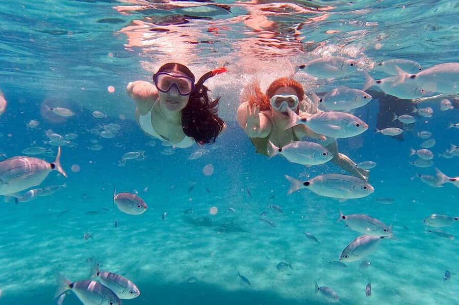 Zadar: Island-Hopping, Swimming & Snorkeling SpeedBoat Tour - Key points to know before booking