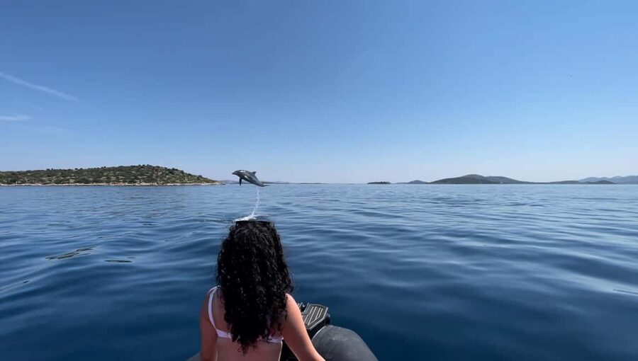 Zadar: Island Luxury Speedboat Tour with Snorkeling - The trip at a glance