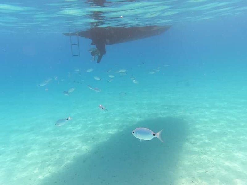 Zadar: Private SpeedBoat Tour to Islands - Drinks Included - Should you book the Zadar private speedboat tour?