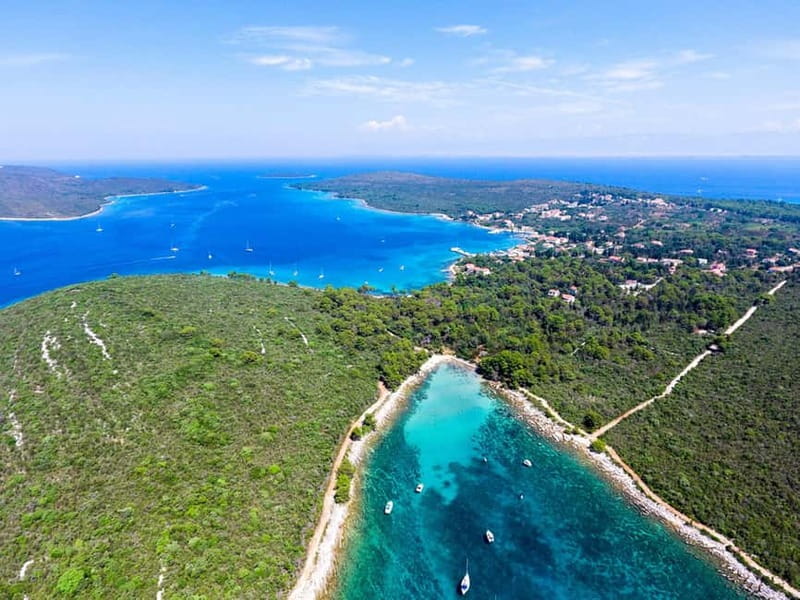 Zadar: Sakarun Beach & Dugi Island Speedboat Tour w/Diving - The pine-shaded cove and the old oil mill