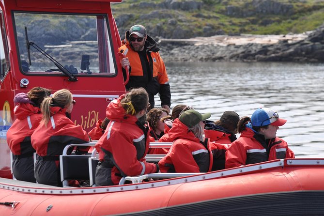 Zodiac Boat Whale and Wildlife 6-Hour Tour from Campbell River - Who will enjoy this tour most