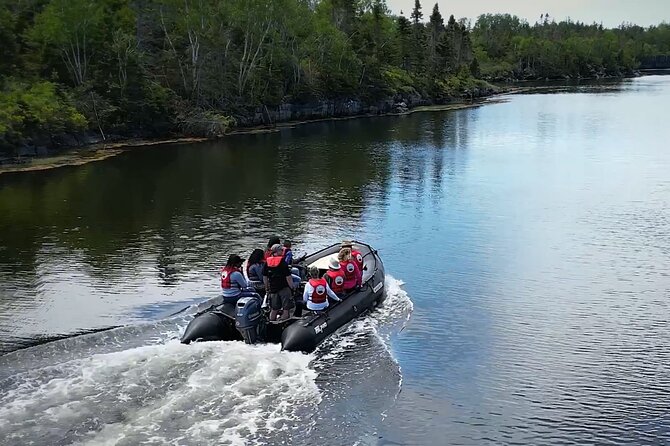 Zodiac Coastal Tour with Naturalist Guide: Lunenburg - Key Points Before You Book