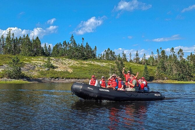 Zodiac Coastal Tour with Naturalist Guide: Lunenburg - Why This Lunenburg Boat Trip Feels Different