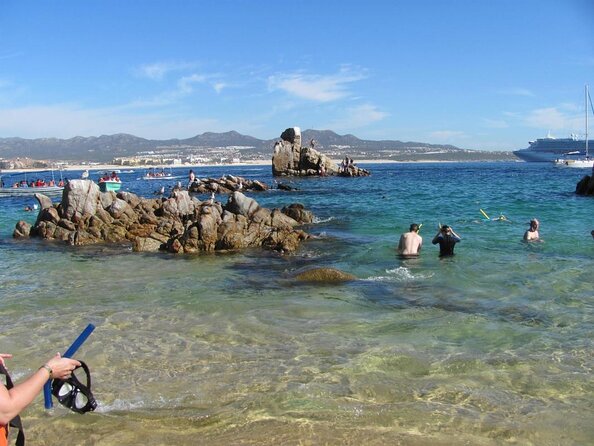 ZODIAC Whale Watch Tour | Cabo San Lucas | Biologist | FREE Pics - The five details that matter most