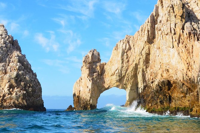 ZODIAC Whale Watch Tour | Cabo San Lucas | Biologist | FREE Pics - Free photos make a real difference
